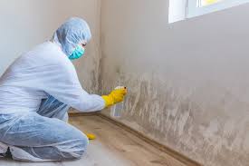 Biohazard Mold Removal in Adelanto, CA